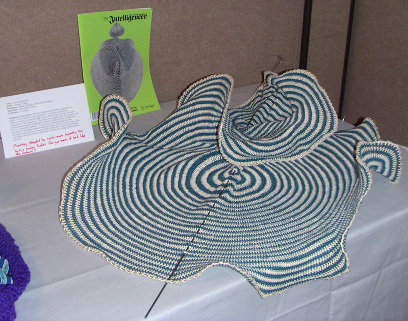 Carolyn Yackel's crocheted Lorentz manifold, in a position as close as possible to the proper mounted position