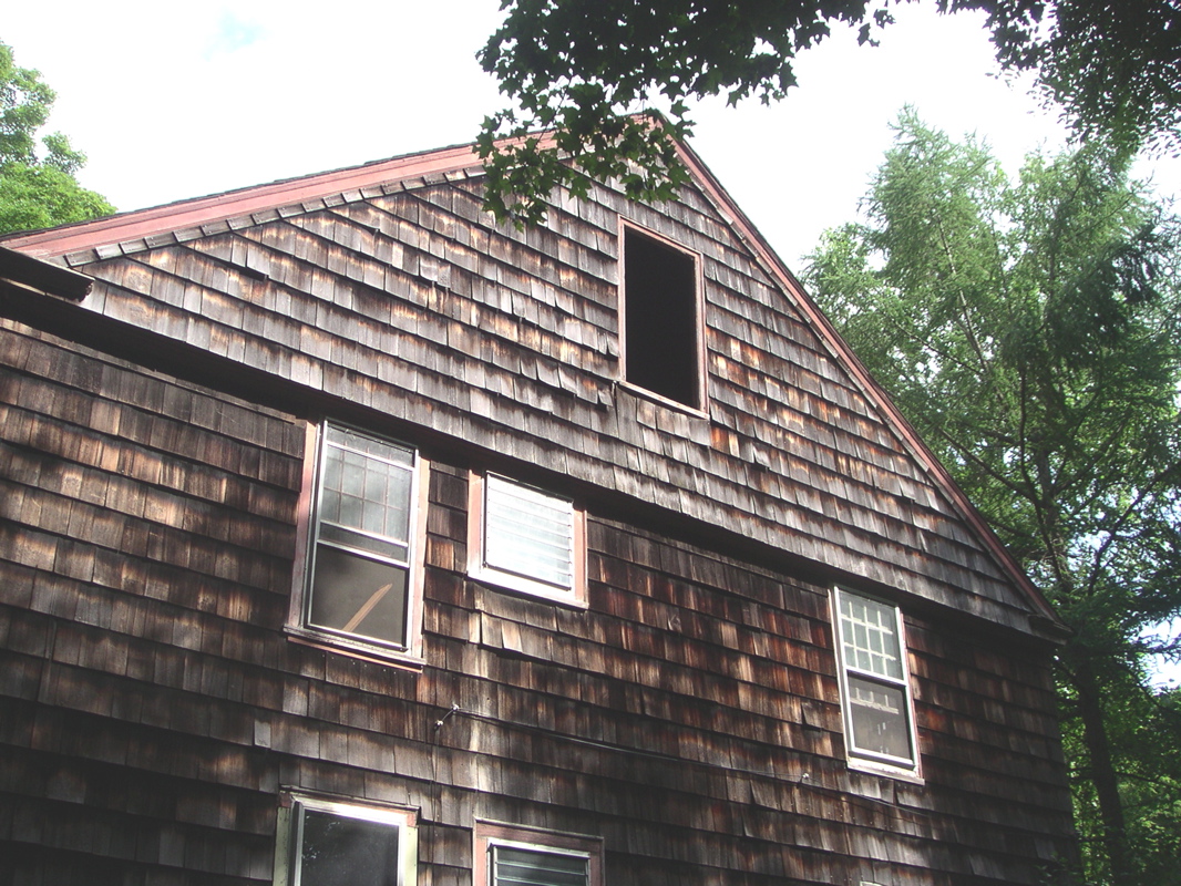 Turning around and looking up, we see the window through which our resident bats travel.