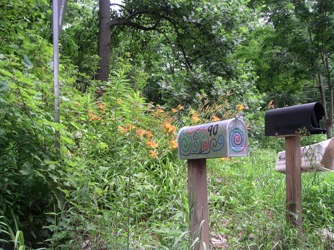 Mailbox seen from road