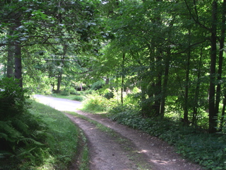 other side of driveway