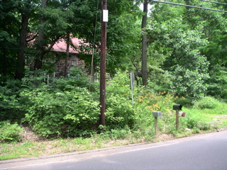 Mailbox, tiger lilies, and house