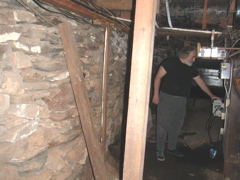 rootcellar1